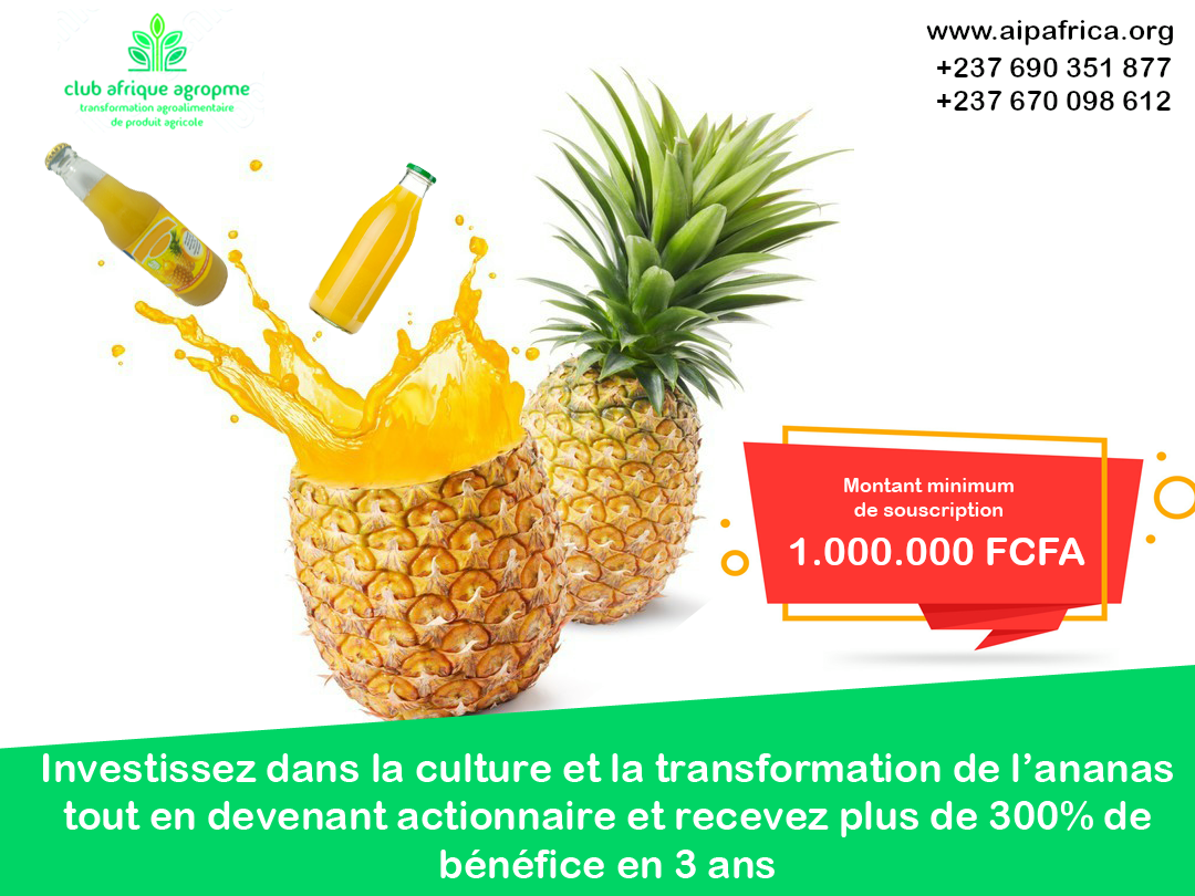 Design Graphique Premium