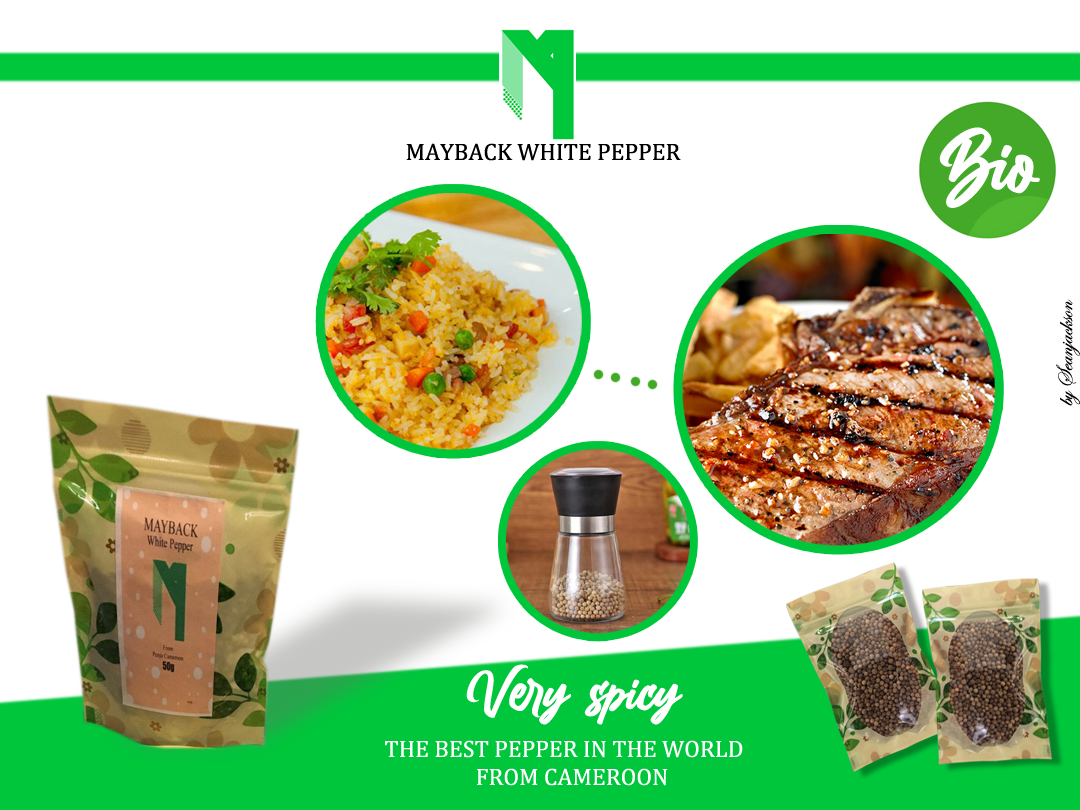 Création Publicitaire