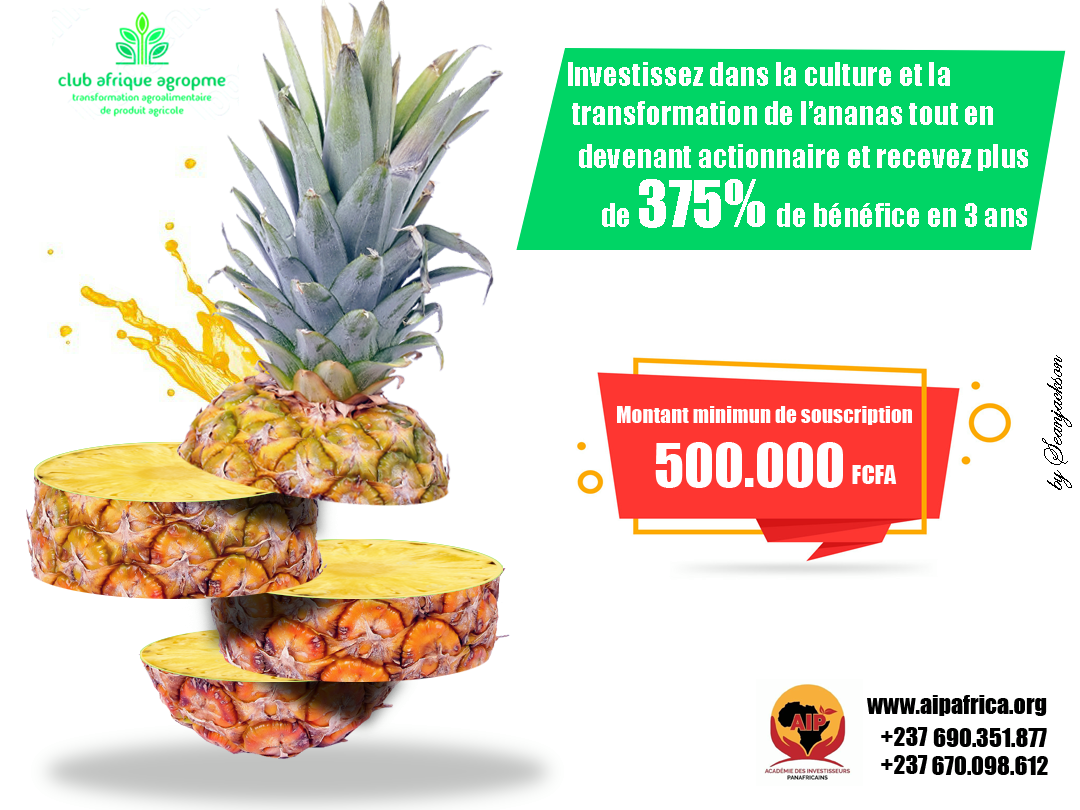 Projet Digitalisation 04